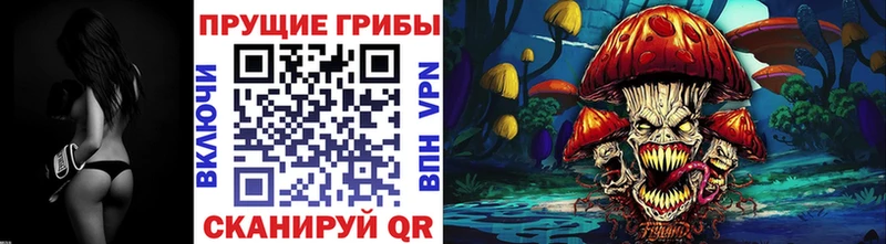 купить наркотики цена Новое Девяткино Галлюциногенные грибы ЛСД